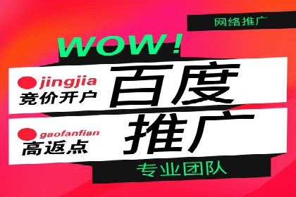 案例解析：竞价推广代运营助力企业降低成本